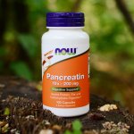 Now Foods Foods Pancreatin 10 x 200 mg x 100 kapslí – Hledejceny.cz