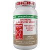 Vitamíny pro psa GIOM ERA chondro L-karnitin 200 g