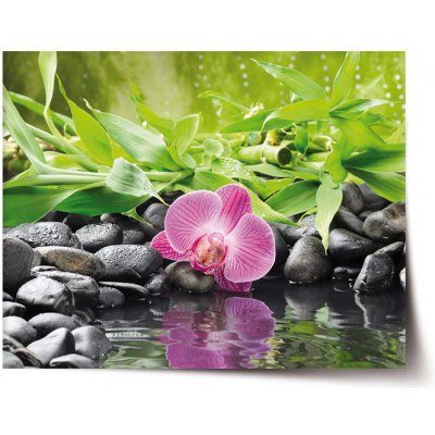 Sablio Plakát Růžová orchidej - 120x80 cm – Zboží Mobilmania