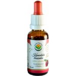 Salvia Paradise Kanadská brusinka lyofilizovaná AF tinktura 30 ml – Hledejceny.cz