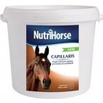 Nutri Horse Capillaris 2 kg – Hledejceny.cz