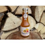 Nature Notea Babiččin sirup Meruňka & Grep 0,5 l – Zbozi.Blesk.cz