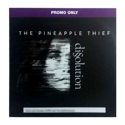 CD The Pineapple Thief: Dissolution