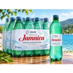 Jamnica Minerální voda 12 x 0,5 l – Hledejceny.cz