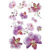 AG Design SM3440 Samolepicí dekorace Orchidej, rozměry 42,5 x 65 cm