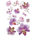 AG Design SM3440 Samolepicí dekorace Orchidej, rozměry 42,5 x 65 cm – Sleviste.cz