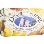 Nesti Dante Dolce Vivere mýdlo Capri 250 g – Zbozi.Blesk.cz