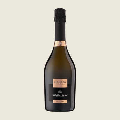 Soligo Prosecco frizzante DOC 11% 0,75 l (holá láhev) – Hledejceny.cz