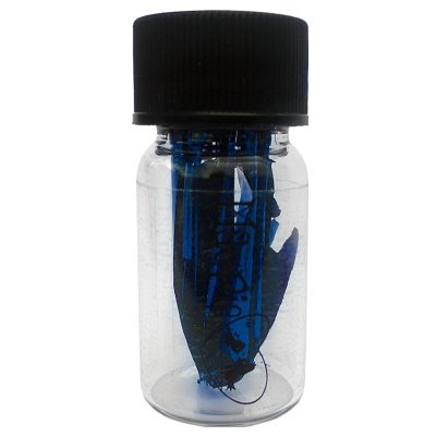 Magpie Beauty BLUE LEAF 1 g – Hledejceny.cz