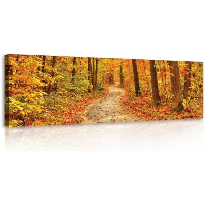 Postershop Obraz na plátně: Barvy podzimu (les) - 145x45 cm