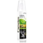 Delia Cosmetics Cameleo BB tekutý keratin ve spreji pro poškozené vlasy 150 ml – Hledejceny.cz