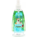 GILLS ústní voda sprej 100 ml – Zboží Mobilmania
