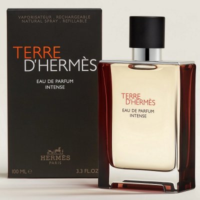 Hermès Terre d´Hermès parfémovaná voda pánská 50 ml – Sleviste.cz