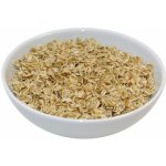 Semix Bio ovesné lupínky křupavé 1 kg – Zboží Dáma