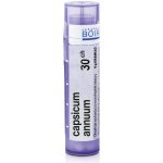 CAPSICUM ANNUUM POR 30CH GRA 1X4G – Hledejceny.cz
