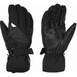 Zanier Performance Gtx lyžařské rukavice – Zboží Mobilmania