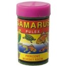  Aqua Exotic Gamarus 100 ml