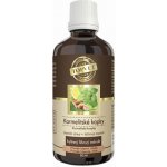 Green idea Karmelitské kapky tinktura 100 ml – Hledejceny.cz