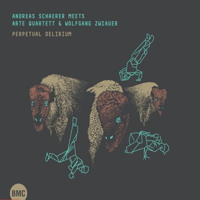 Schaerer Andreas Meets A - Perpetual Delirium CD
