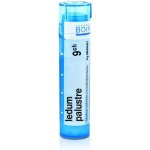 LEDUM PALUSTRE POR 9CH GRA 1X4G – Hledejceny.cz