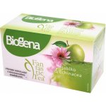 Biogena Fantastic Tea Jablko a Echinacea 20 x 2 g – Hledejceny.cz