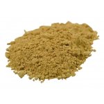 Salvia Paradise Kotvičník Tribulus plod prášek BIO 100 g – Hledejceny.cz