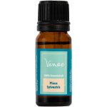 Venoc Esenciální olej Borovice 10 ml – Hledejceny.cz