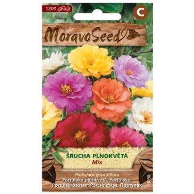 Semínka MoravoSeed Šrucha velkokvětá plnokvětá směs 03098 – Sleviste.cz