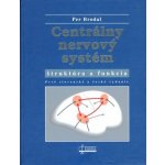 Centrálny nervový systém, štruktúra a funkcia – Hledejceny.cz