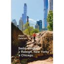 Kniha Sedm měsíců v Raleigh, New Yorku a Chicagu - Adam Gebrian