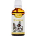 Serafin Brusinka tinktura z pupenů rostlin 50 ml – Zbozi.Blesk.cz