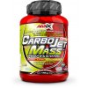 Gainer Amix CarboJet Mass Pro 1800 g