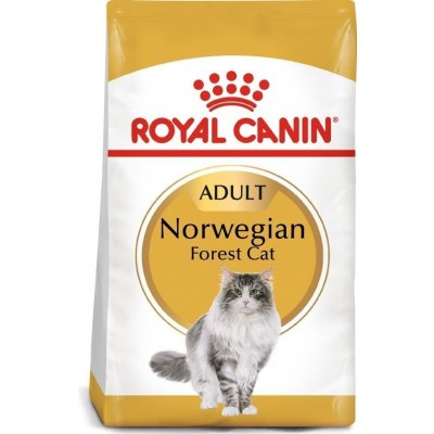 Royal Canin Norvegian Forest Cat Adult 2 kg – Zboží Mobilmania
