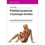 Přehled anatomie a fyziologie člověka – Zboží Dáma