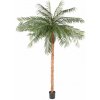 Květina Umělá Phoenix palma přírodní kmen, 340cm