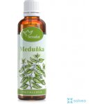 Serafin byliny Meduňka tinktura z bylin 50 ml – Hledejceny.cz