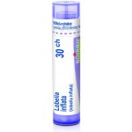 LOBELIA INFLATA POR 30CH GRA 1X4G – Hledejceny.cz