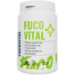 seaweed Fucovital 60 kapslí – Hledejceny.cz