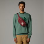 The North Face Berkeley – Sleviste.cz