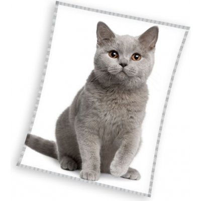 Mikroplyšová deka Britská Kočka Šedá 150x200 cm