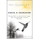 Cesta k zázrakům Robert Rosenthal