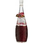 Fiore Mio Cabernet Sauvignon 13% 0,75 l (holá láhev) – Hledejceny.cz