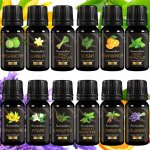 Aromaholik Přírodní esenciální oleje na aromaterapii 12 x 10 ml – Hledejceny.cz