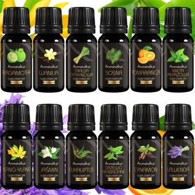Aromaholik Přírodní esenciální oleje na aromaterapii 12 x 10 ml – Hledejceny.cz