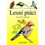 Lesní ptáci – Hledejceny.cz