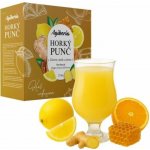 Agiberia Horký punč Zázvor, med a citron 25x20g – Zboží Dáma