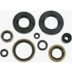 WINDEROSA (VERTEX) sada těsnění motoru KAWASAKI KX250 88-89 | Zboží Auto