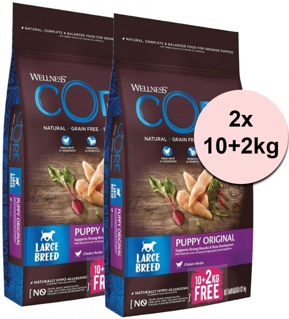 Wellness Core Puppy Large Breed Chicken 2 x 10 kg