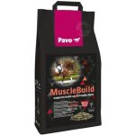 Pavo Muscle Build NEW 3 kg – Zboží Dáma