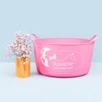 RAVENE Kbelík na jezdectví poddajný z recyklovaného materiálu 15L – Hledejceny.cz
